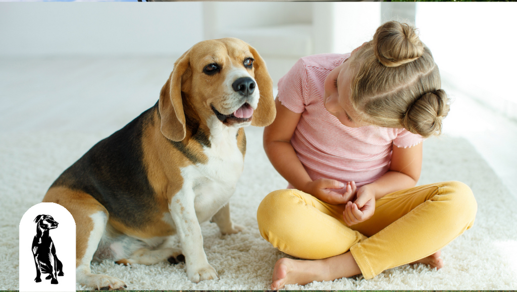 10 Signs That Your Dog Has Good Quality of Life