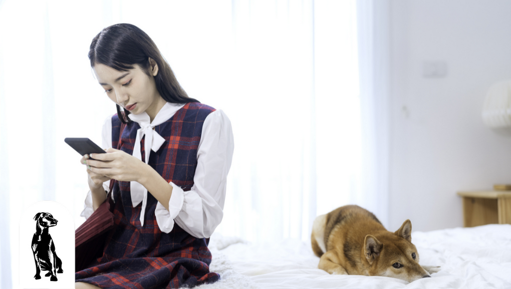 How to Tell if Your Dog is Stressed