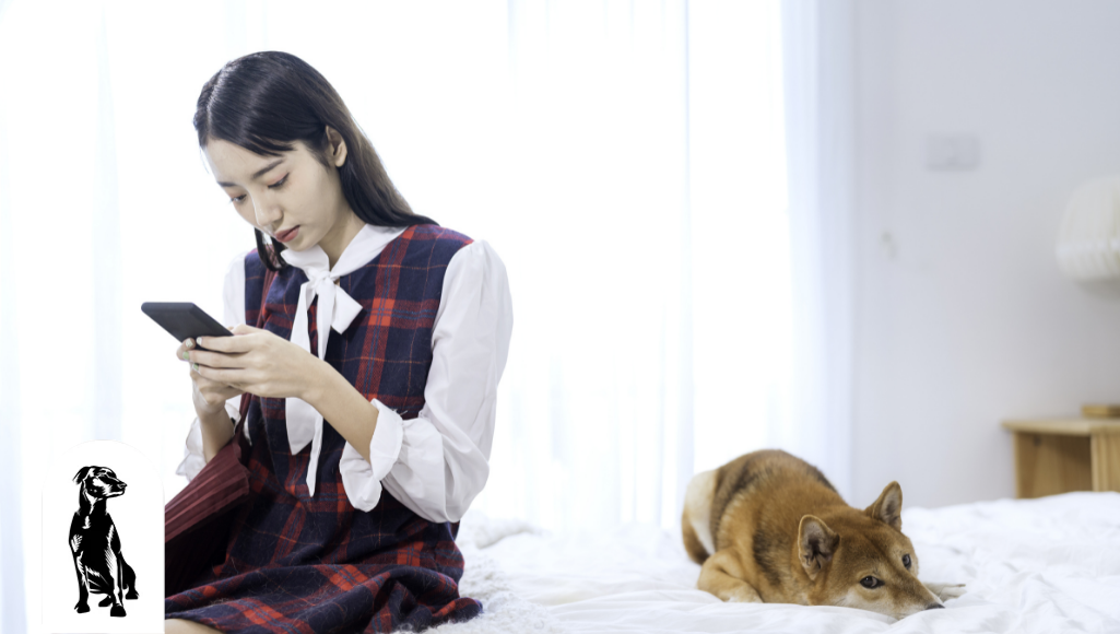 How to Tell if Your Dog is Stressed