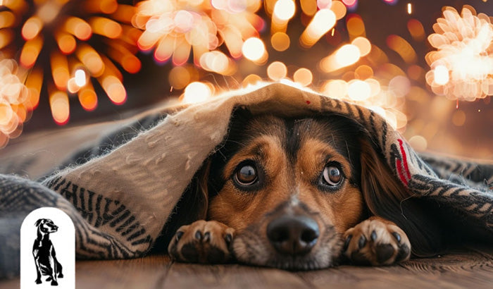7 Tips to Prevent Noise Anxiety This New Year's Eve
