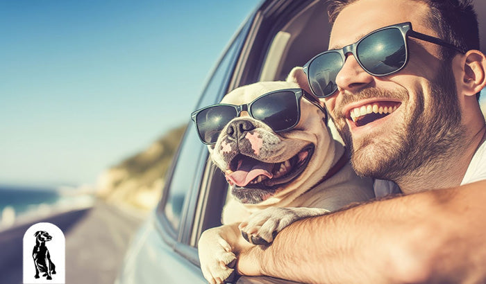 Is Driving With a Dog In Your Car Unsafe?