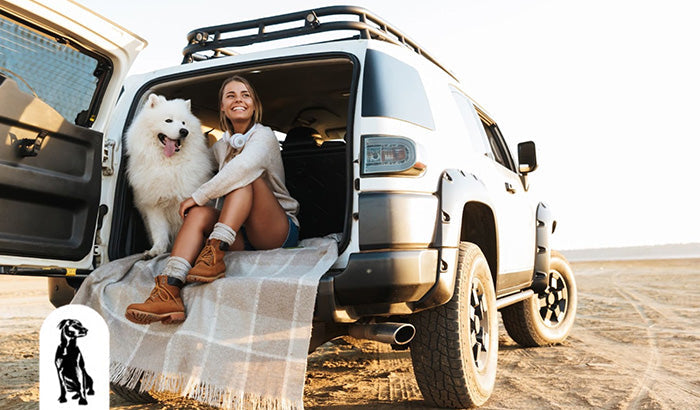 The Ultimate Guide for Transporting Large Dogs in a Car