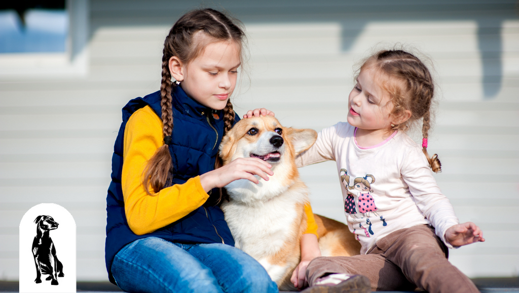 Are Corgis Good With Kids?