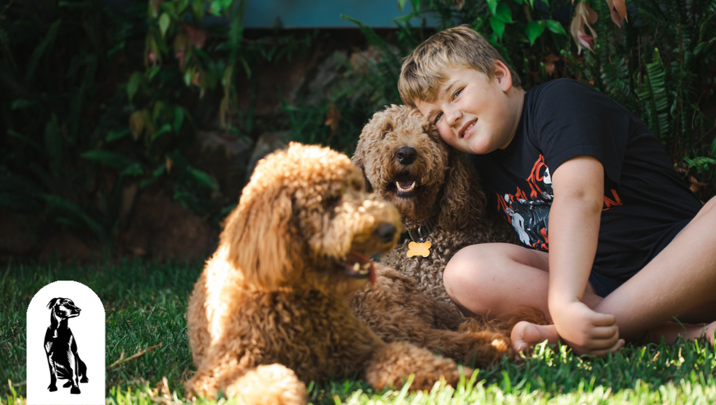 Goldendoodle good family deals dog
