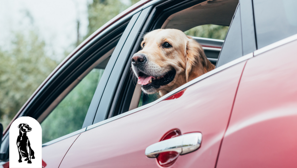 Benefits of Car Seat Covers