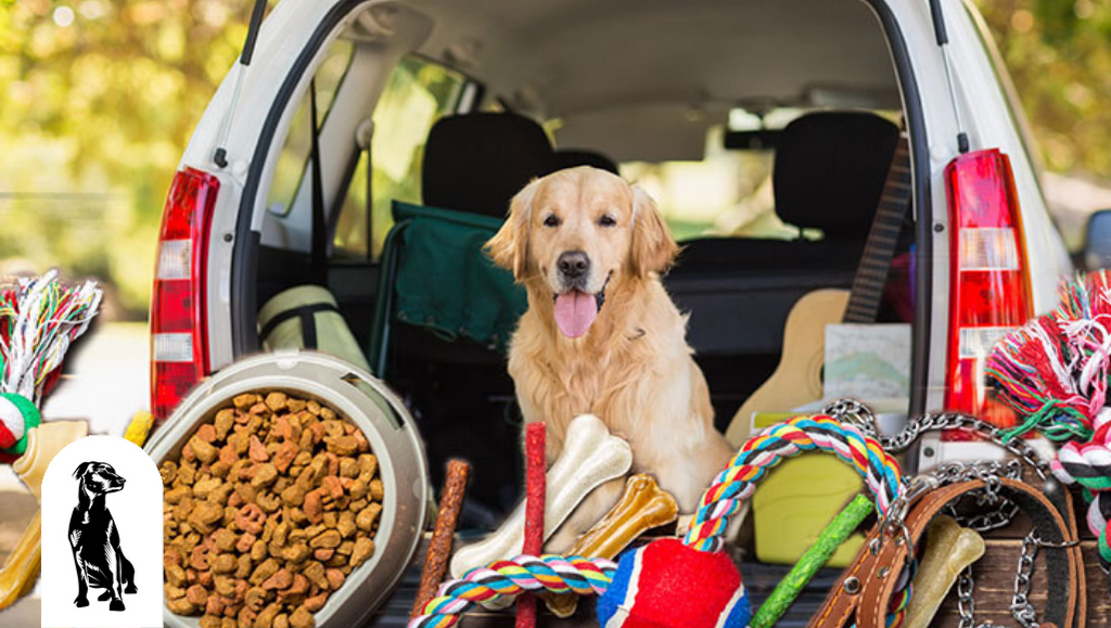 The Best Car Accessories for Pets in 2021