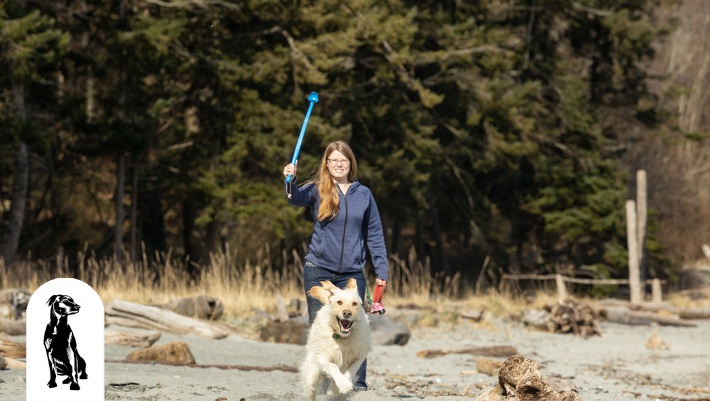 Dog-Friendly Things to Do in Denver, Colorado