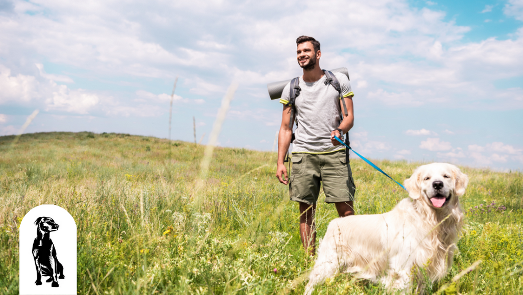 Dog-Friendly Things to Do in Salt Lake City, Utah