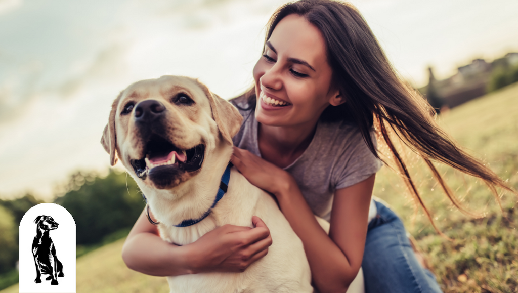 How to Have Fun with Your Dog this Fall