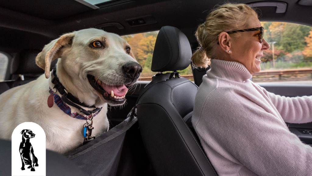 Which Is Better for Dogs Leather or Fabric Seat Covers