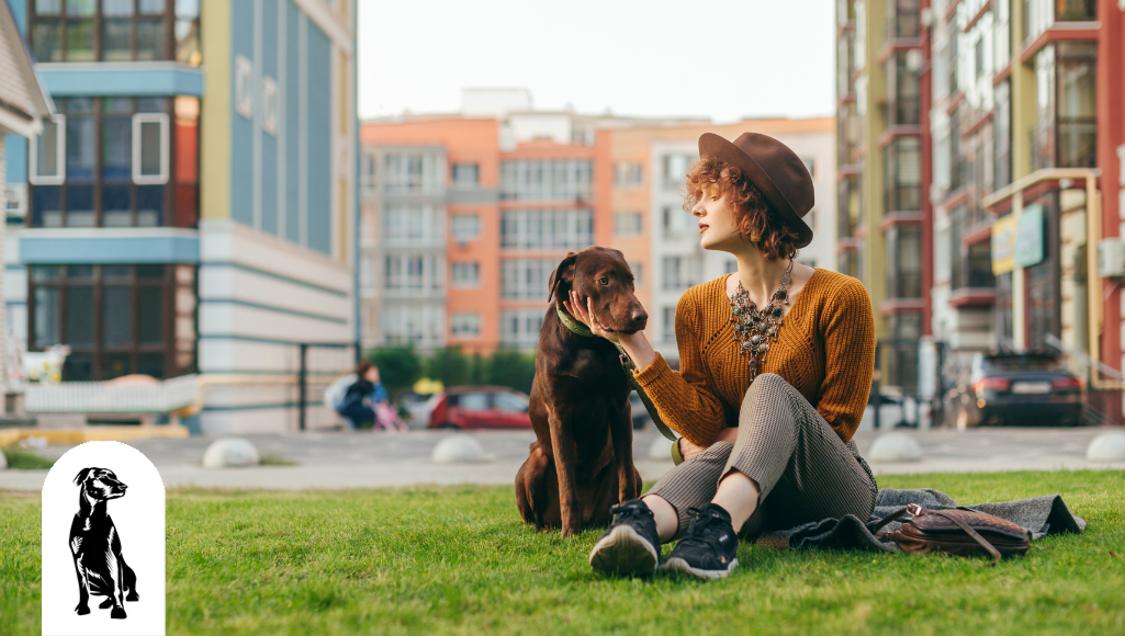 These Are the Most Dog-Friendly Cities in the United States