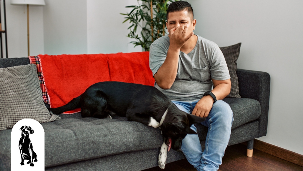 What's the Best Remedy for Bad Breath in Dogs?