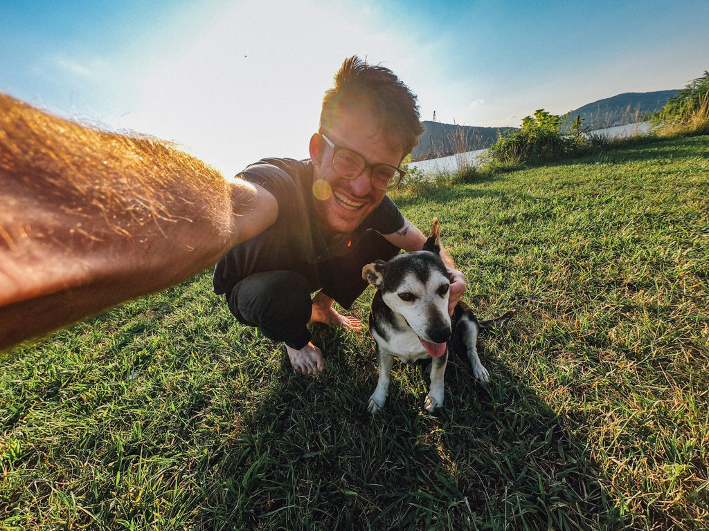 8 Fun Ways to Celebrate National Dog Day