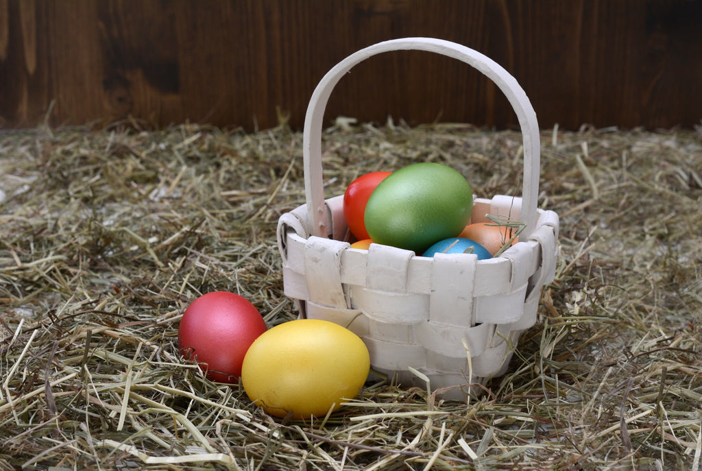 3 Ways to Celebrate Easter with Your Dog