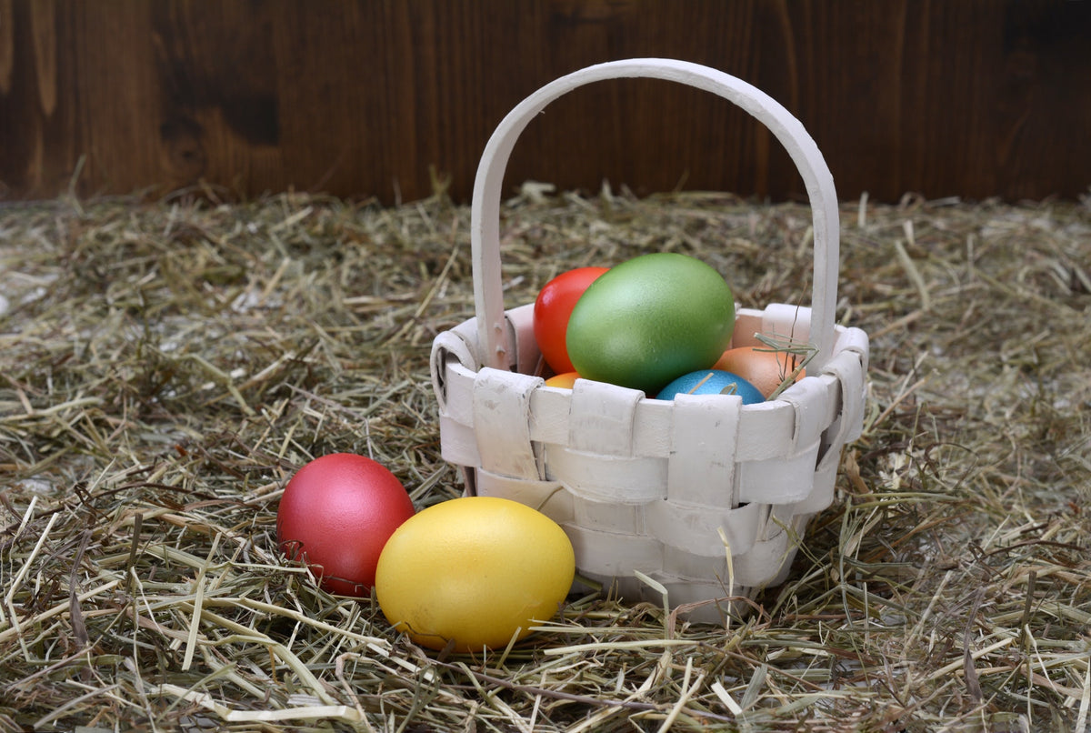 3 Ways to Celebrate Easter with Your Dog