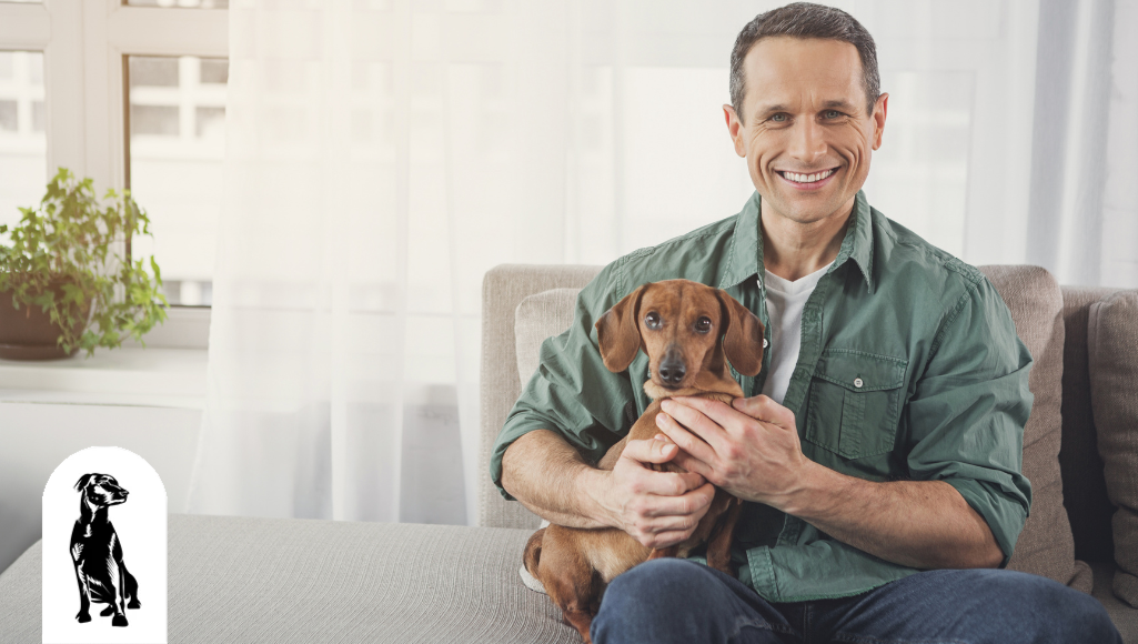 How Can I Relax My Dog?