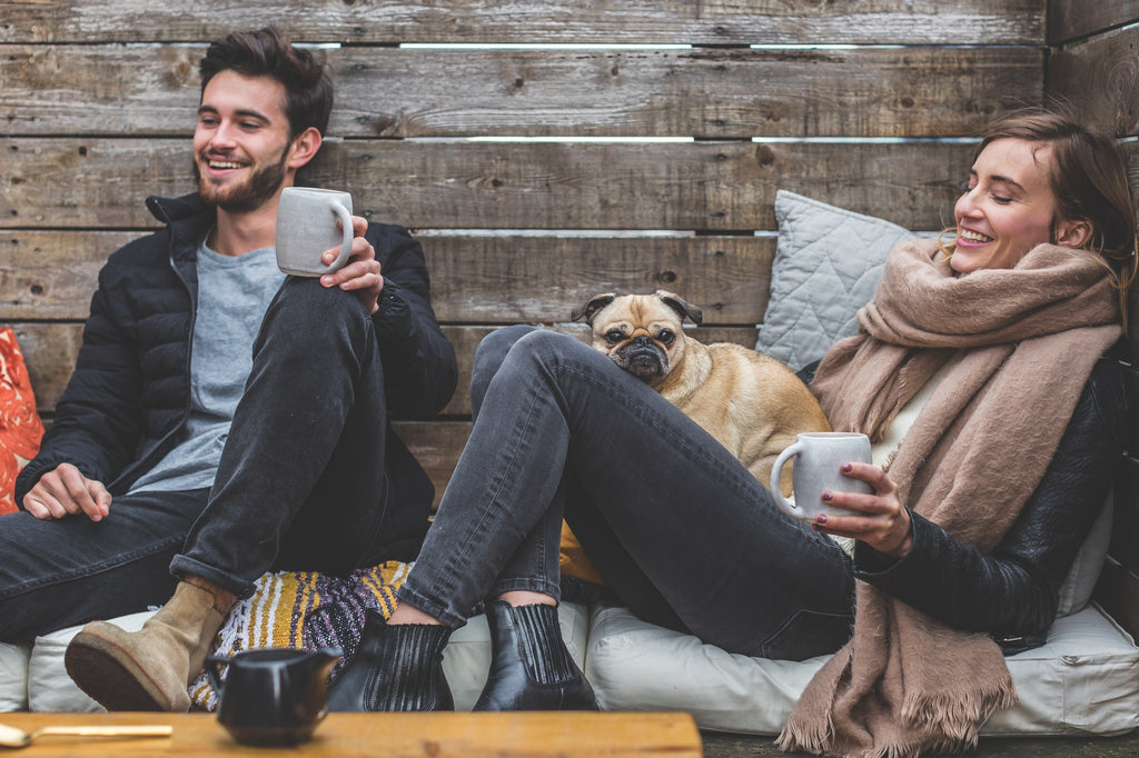Ways to Keep Your Dogs Happy During a Holiday Trip
