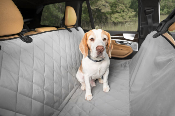 Premium Dog Rear Car Seat Cover – Perfect Paw Store