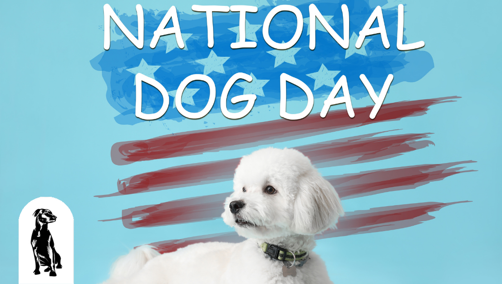8 Fun Ways to Celebrate National Dog Day