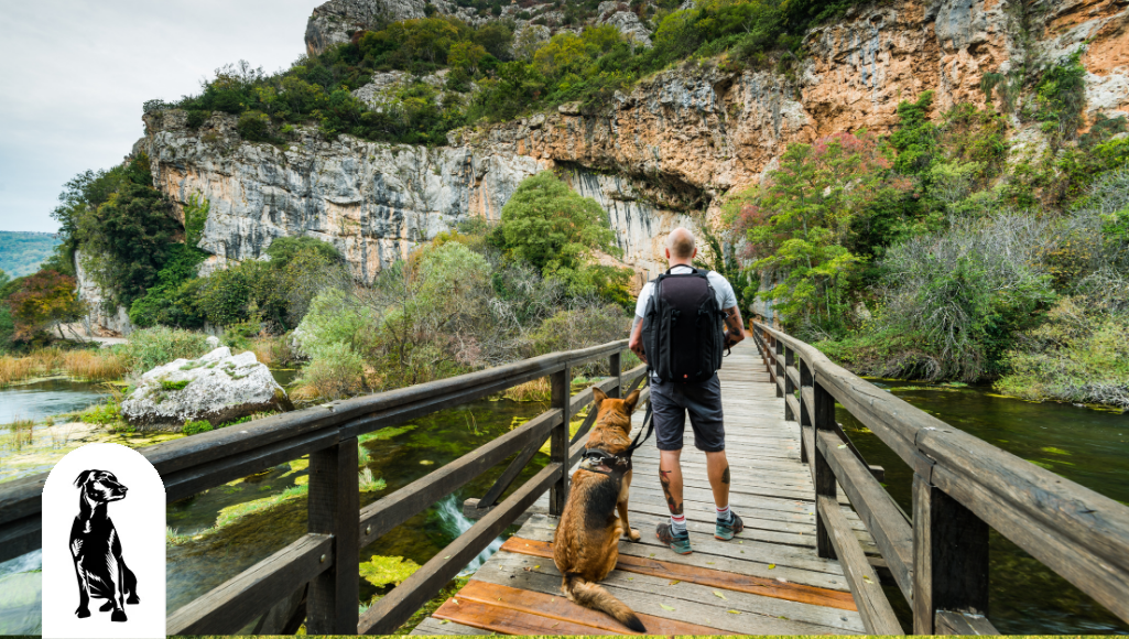 Your Guide to Traveling the National Parks With a Dog - Part Two