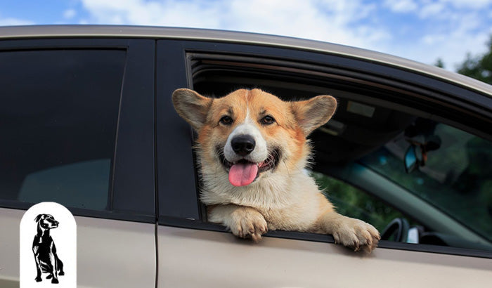 Corgi Car Sun Shade - Paws Corgi Car Sun Shade - Paws