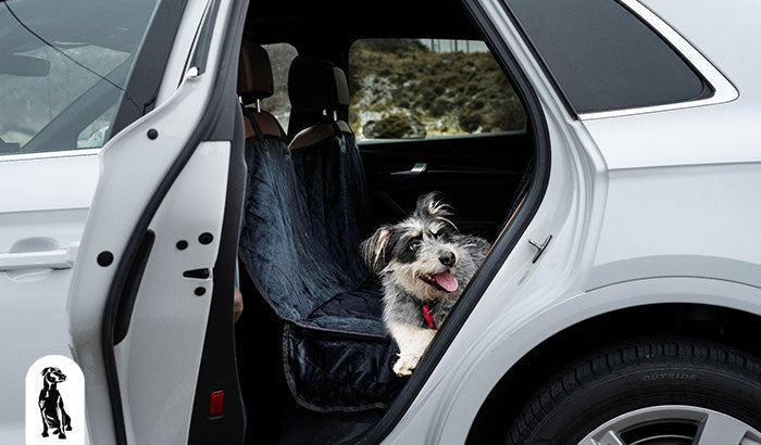 How to Measure Your Car Interior for a Dog Seat Cover That Fits Like a Glove