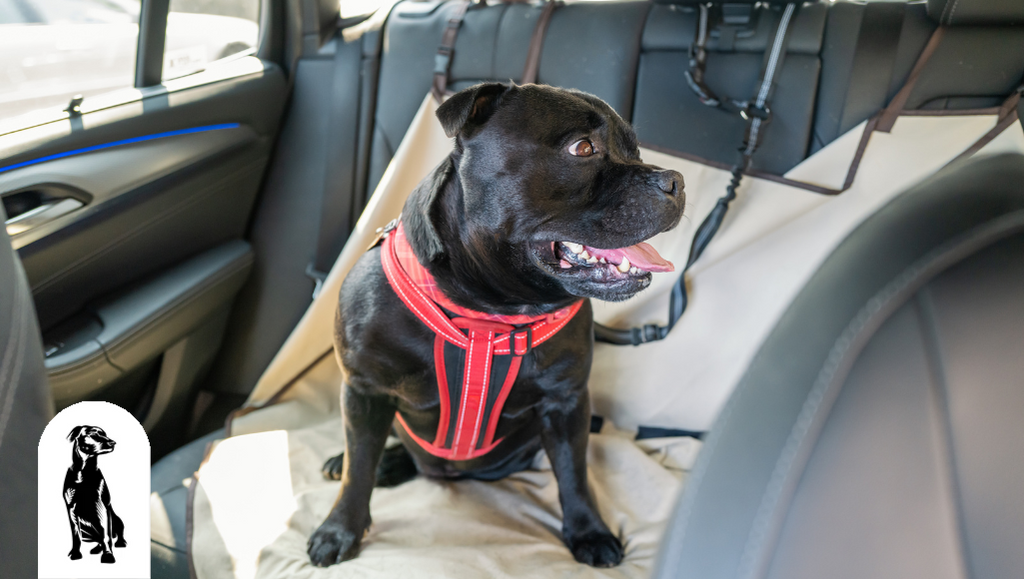 Are Dog Seat Covers Machine Washable?