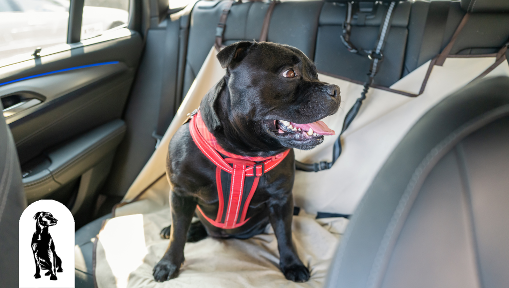 Are Dog Seat Covers Machine Washable?