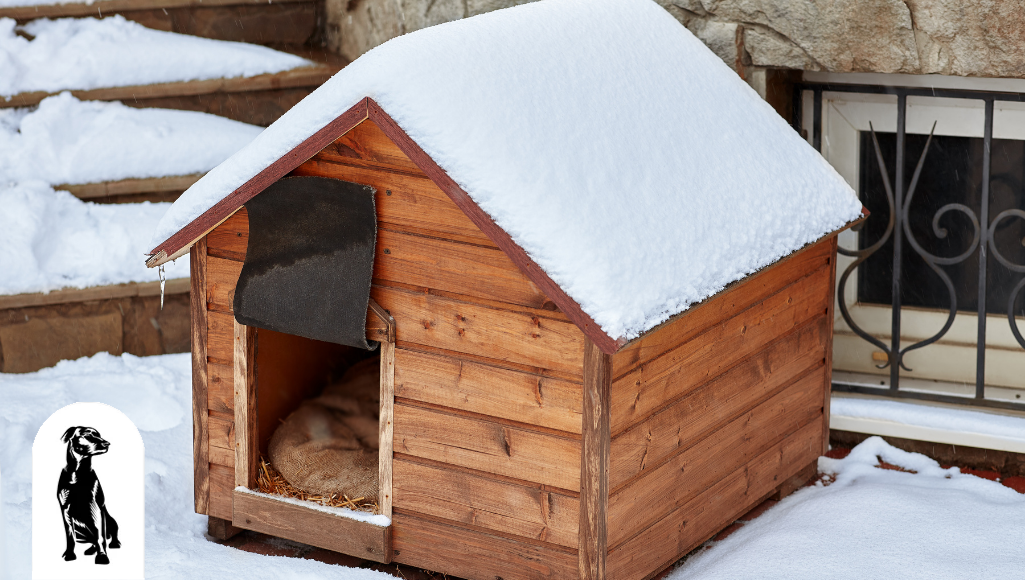 Can Dogs Stay Outside in the Winter with a Dog House?