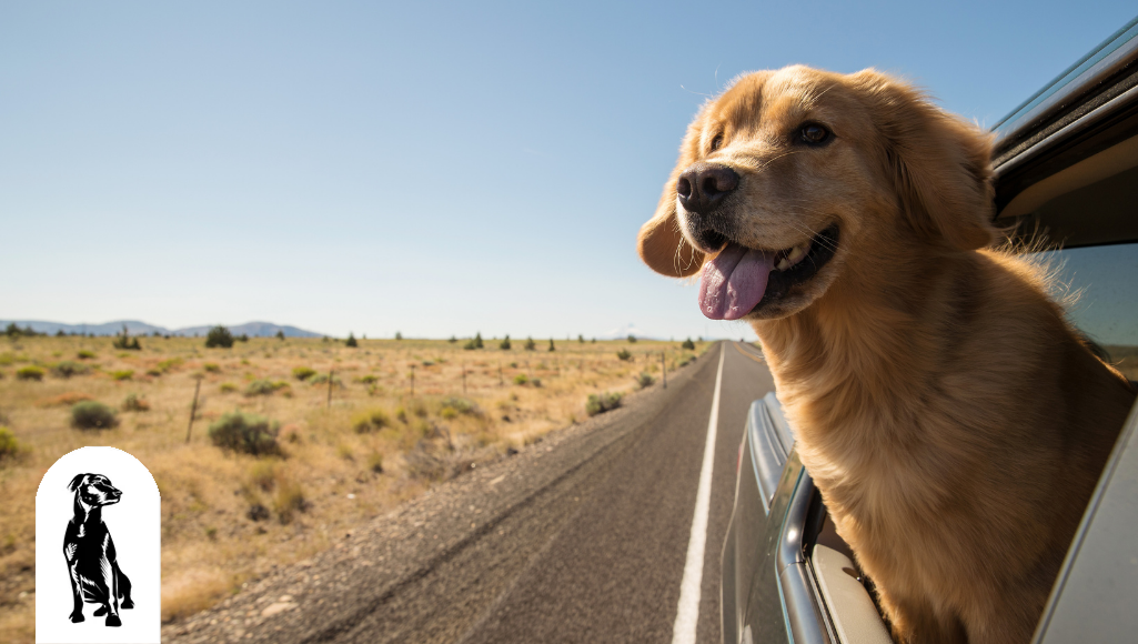 Dog car window cover hot sale