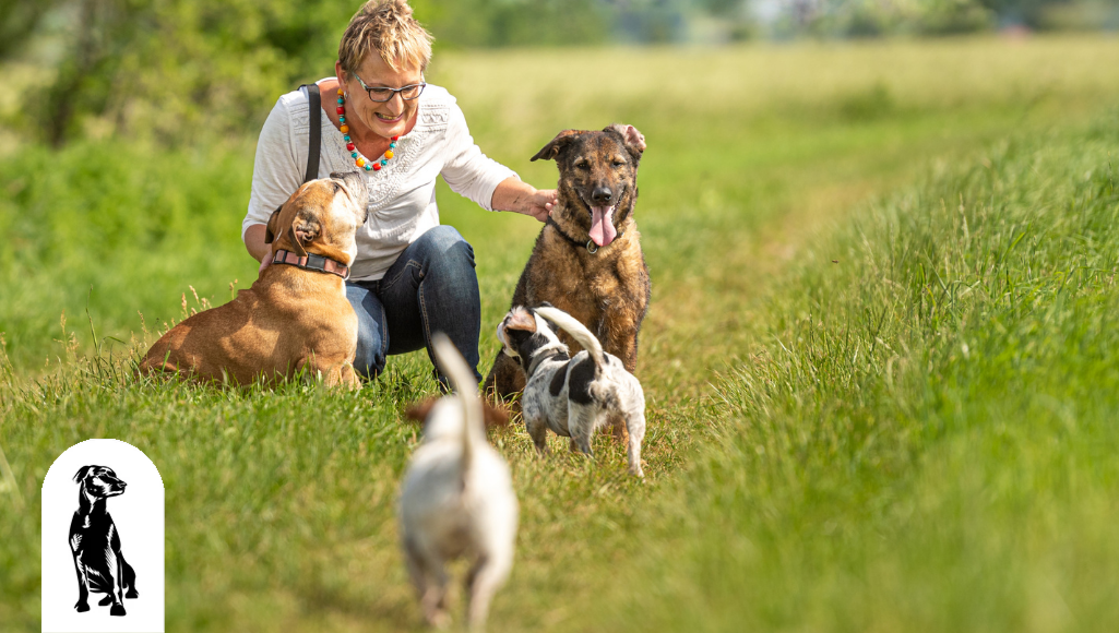 Dog Heroes: The Different Types of Service Dogs