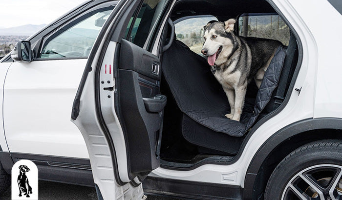 Which Dog Seat Cover Features Are Must-Haves for Pet Owners?
