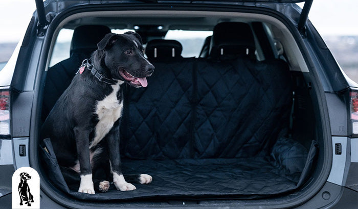 Five Best Dog-friendly Travel Destinations