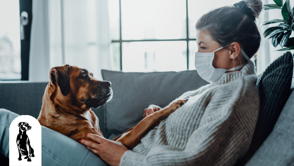 Dogs and Coronavirus: Can Dogs Get Sick from COVID-19?
