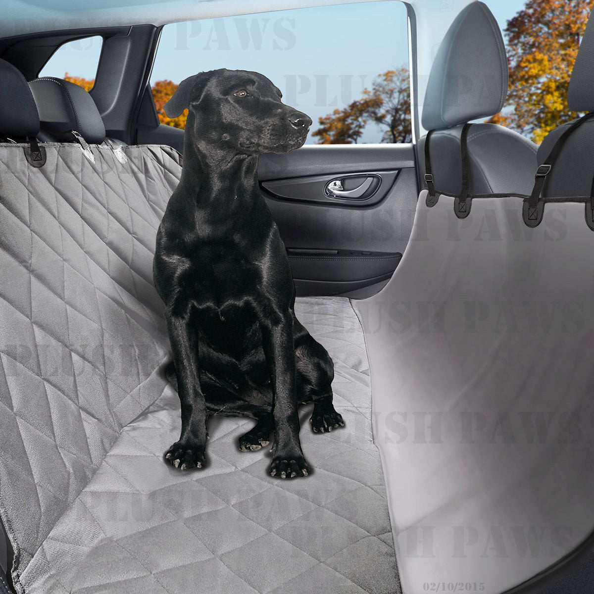 Why You Need a Pet Seat Cover