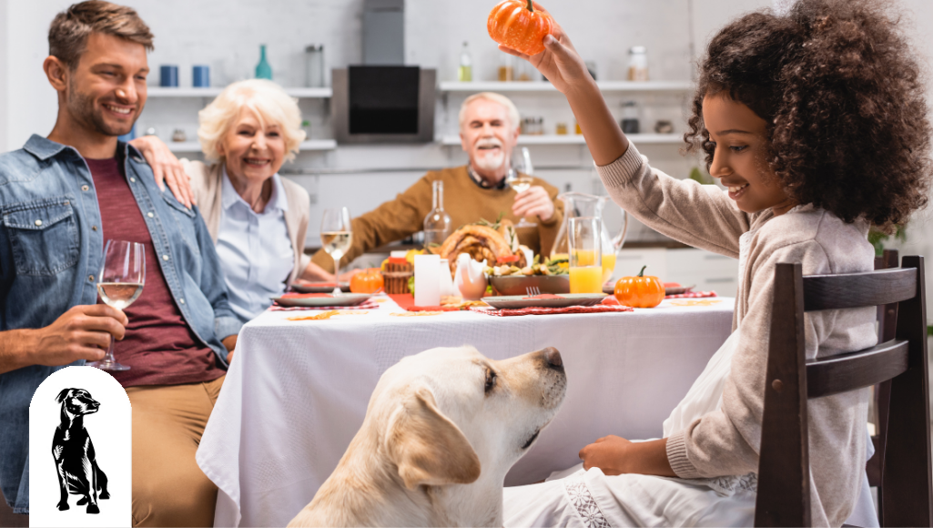 How to Make Your Dog Feel Like a Part of Your Family this Thanksgiving (And Year-Round)