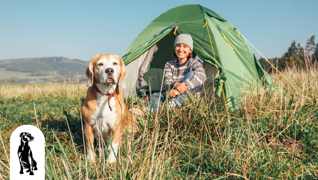 How to Prep for a Camping Trip with Your Dog