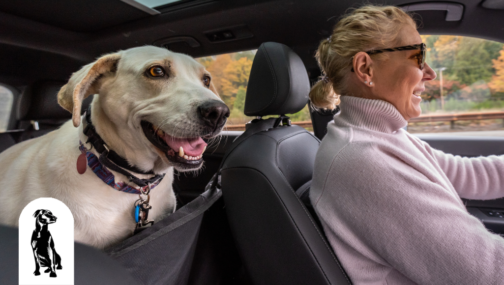 Leather vs. Fabric Seat Covers: Which Is Better for Dogs?