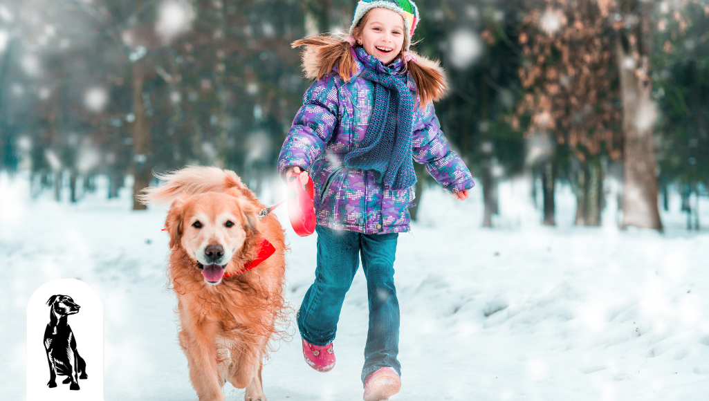 Our Best Tips for Playing in the Snow With Your Dog