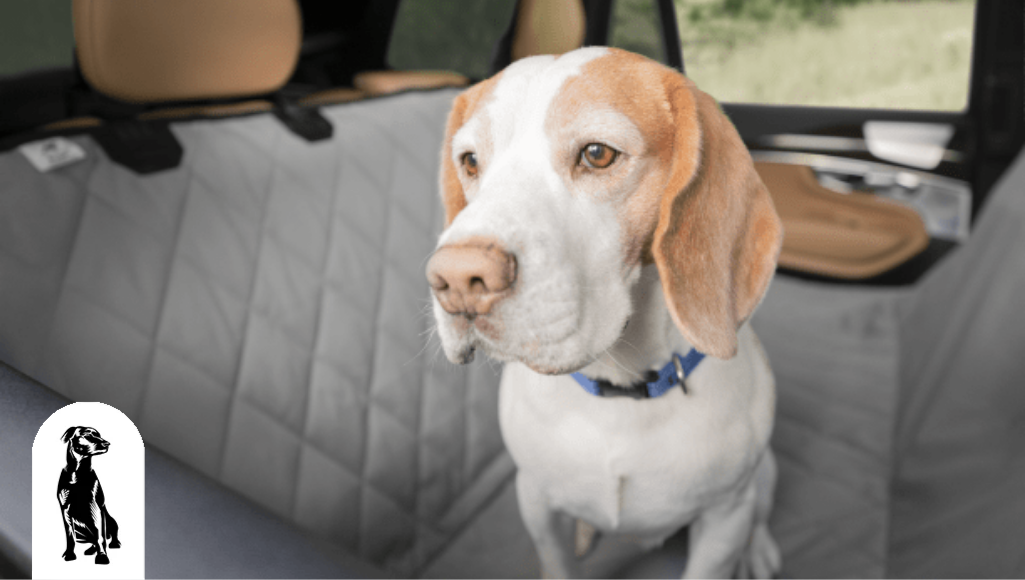 Top 5 Reasons Why You Need Dog Car Seat Protection