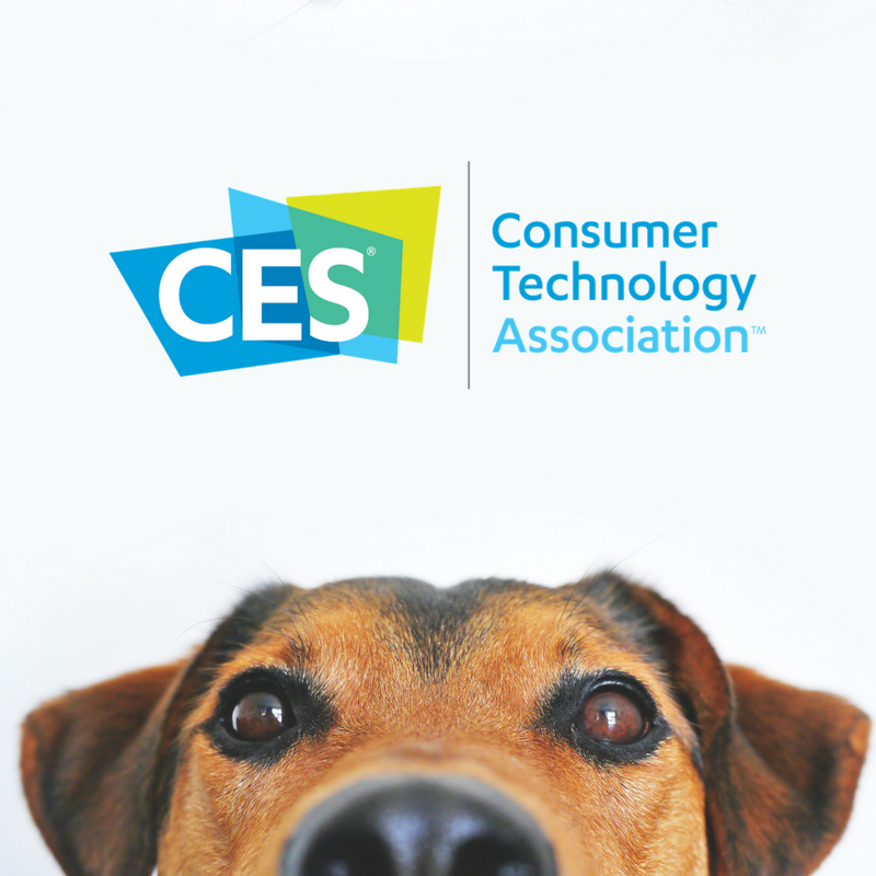 6 Cool New Pet-Friendly Tech At CES 2018