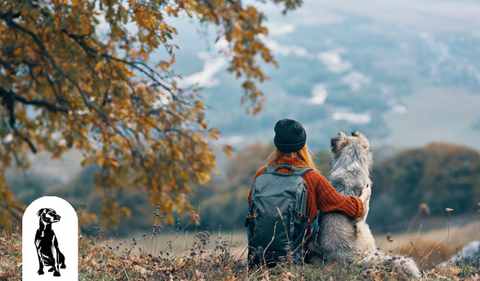 How to Keep Your Dog Safe During Outdoor Adventures