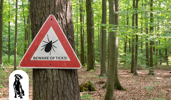 Tickless for Dogs: The Natural Alternative to Chemical Tick Prevention Methods