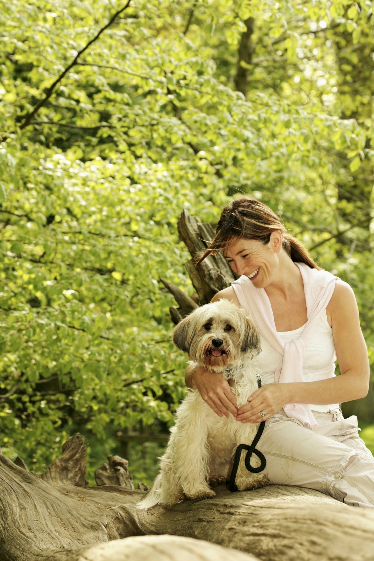 FUN THINGS YOU CAN DO WITH YOUR DOG THIS SPRING