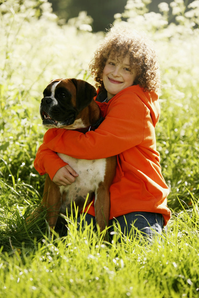 Your Dog Could be Allergic to these Things
