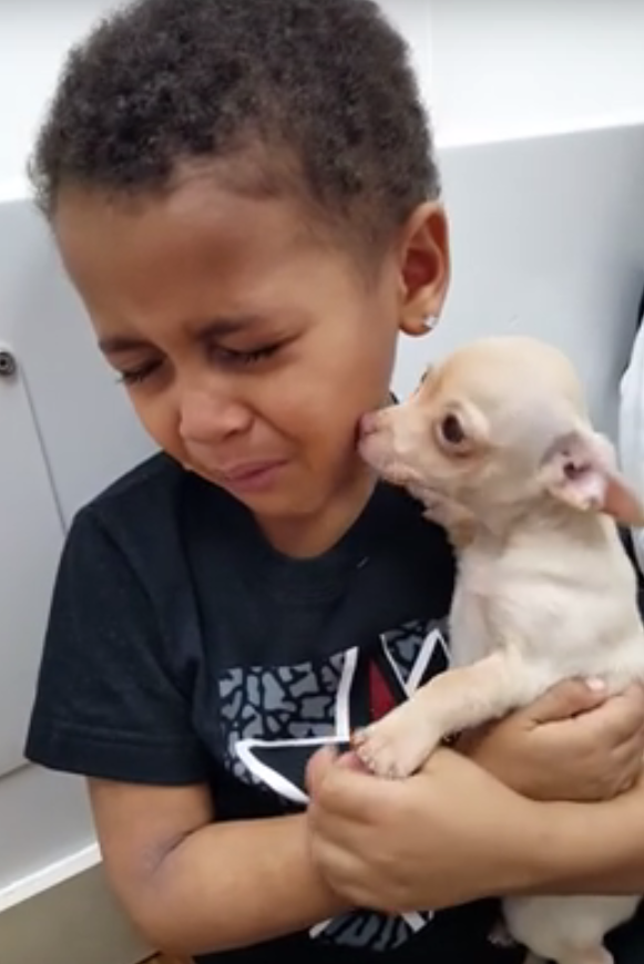 Little Jayden Cries Over Cute Puppy