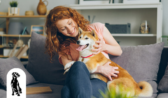 The Benefits of Regular Vet Check-Ups for Your Pet