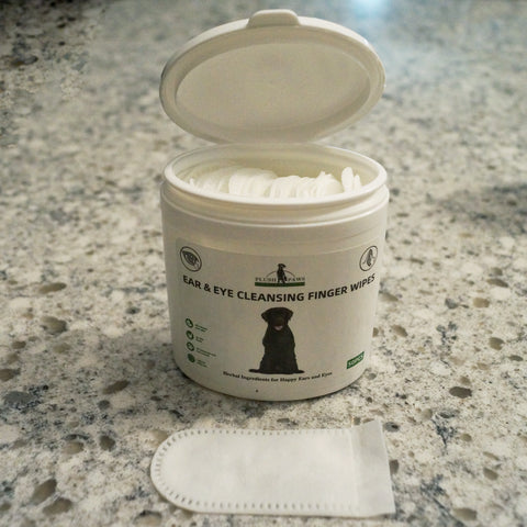 A container of dental finger wipes situated on a countertop, promoting easy access for dental hygiene routines.