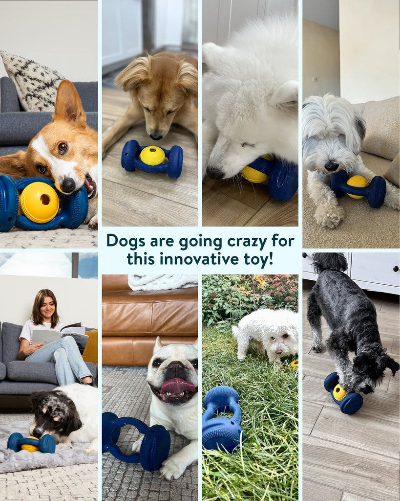 Dogslanding™ Calming PawPartner