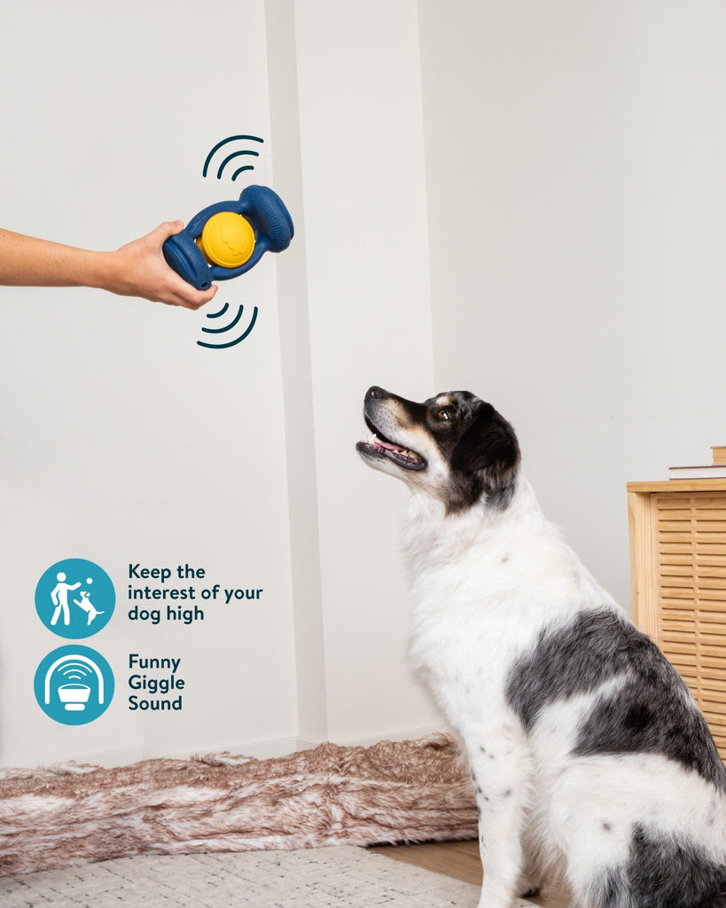 Dogslanding™ Calming PawPartner